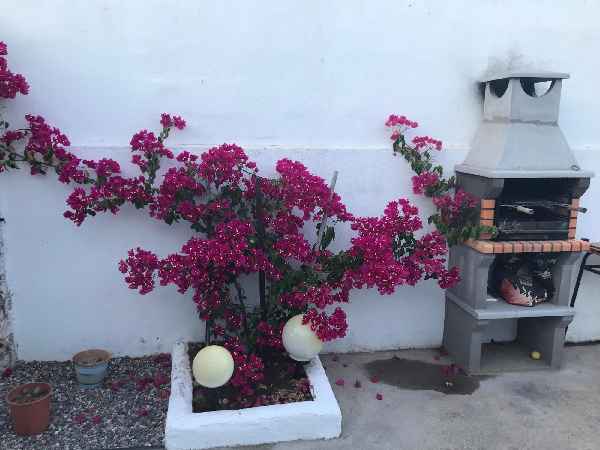Casa Santo Antonio Apartment Pias  Luaran gambar